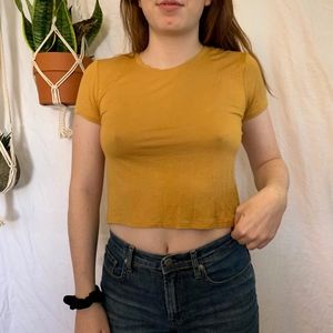 JO & CO mustard crop